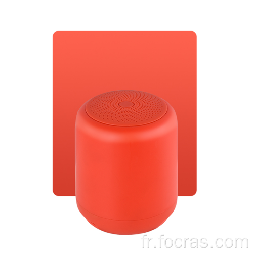 Haut-parleur Véritable sans fil Bluetooth PRO-portable sans fil Bluetooth